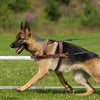 Real Leather Dog Harness Pet Training Products Strong Pulling Harness Vest For Large Dogs German Shepherd Dog Agility Product