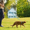 150cm/59.06in Pet Cat Harness Leash Set Adjustable Puppy Lead Leash Walking Cat Leash Escape Proof Cat Harness Pet Supplies