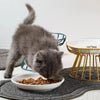 Ceramic Raised Pet Bowl Food Water Treats for Cats & Dogs Supplies Outdoor Feeding Drinking Accessories Doggie Cat Stand Bowl