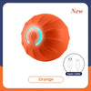 Pet Dog Accessories Toy Interactive Stuff Smarts Puppy for Birthday Supplies. Activity Ball Gift Dogs Toys Electronic Products