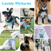 Cat Harness Adjustable Pet Harnesses Reflective Leashes Set Pet Harness for Cats Small Dogs Pug Chihuahua Cat Accessories