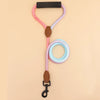 Pet dog leash, gradient color with comfortable padded handle, suitable for small and medium dogs outdoor use