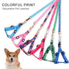 Pet Dog Harness Adjustable Pet Leashes Puppy Collar for Small Dogs Cat Harness Medium Dog Accessories Outdoor Walk