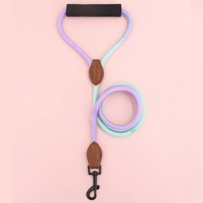 Pet dog leash, gradient color with comfortable padded handle, suitable for small and medium dogs outdoor use