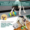 Pet Dog Treat Dispenser For Small Medium Large Dogs Interactive Indoor Improve IQ Training Dog Toys Labrador Chihuahua Product