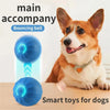 Pet Dog Accessories Toy Interactive Stuff Smarts Puppy for Birthday Supplies. Activity Ball Gift Dogs Toys Electronic Products